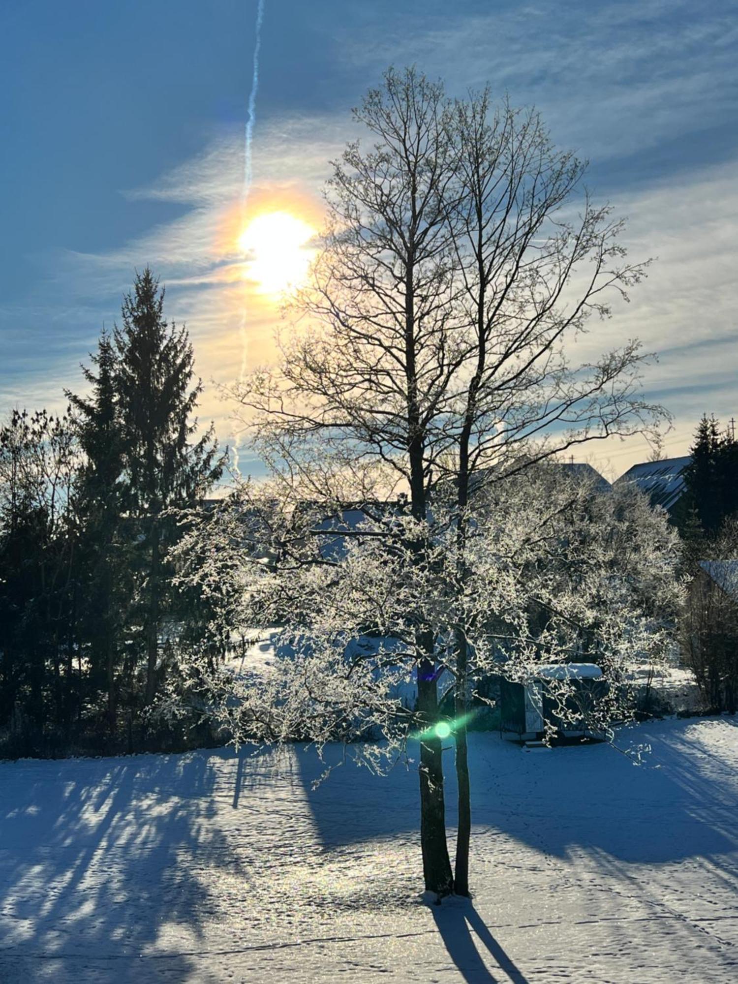 Pferdestall Grafengehaig