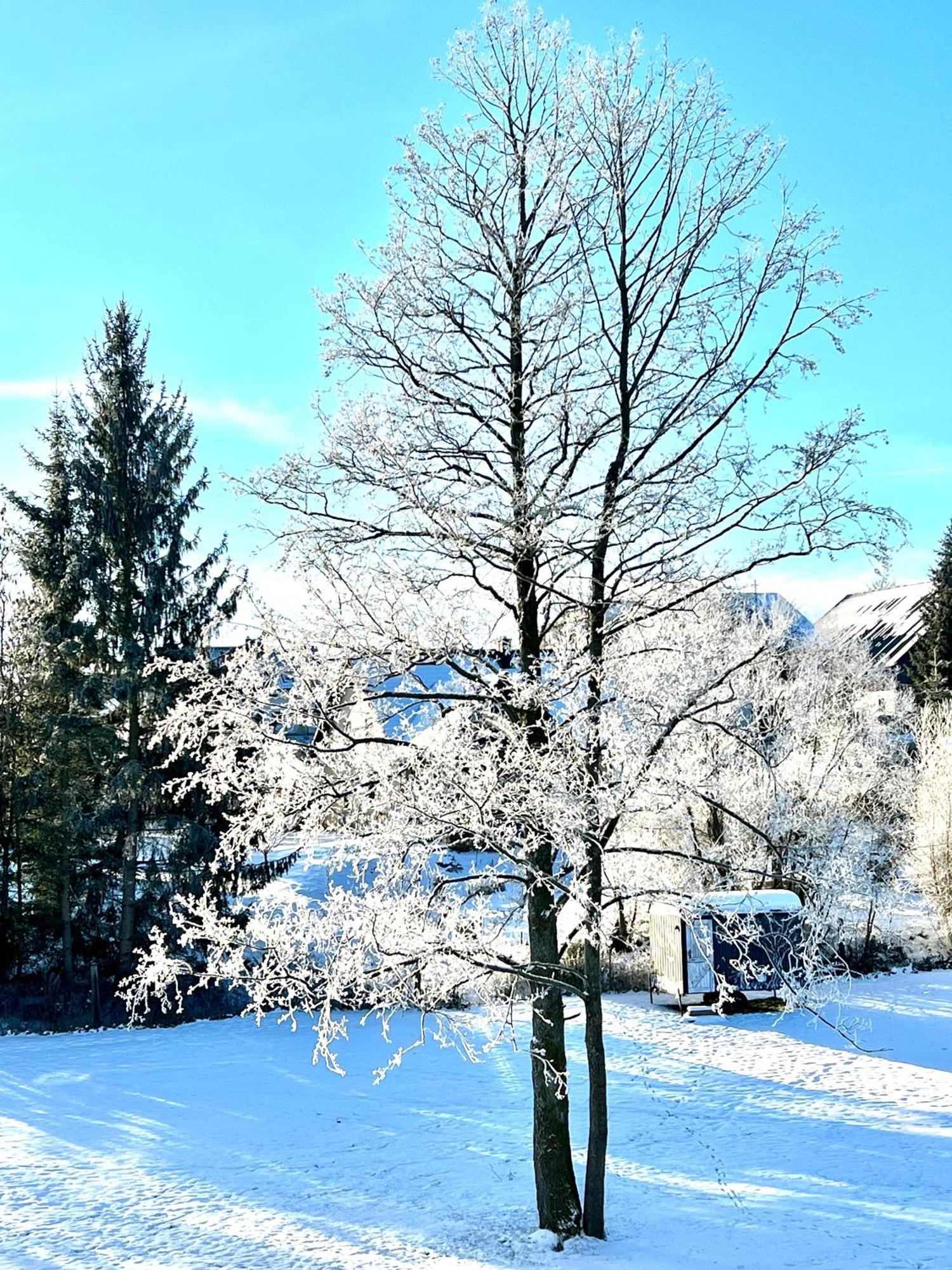 Pferdestall Appartement *